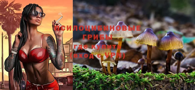 Галлюциногенные грибы Magic Shrooms Кинешма